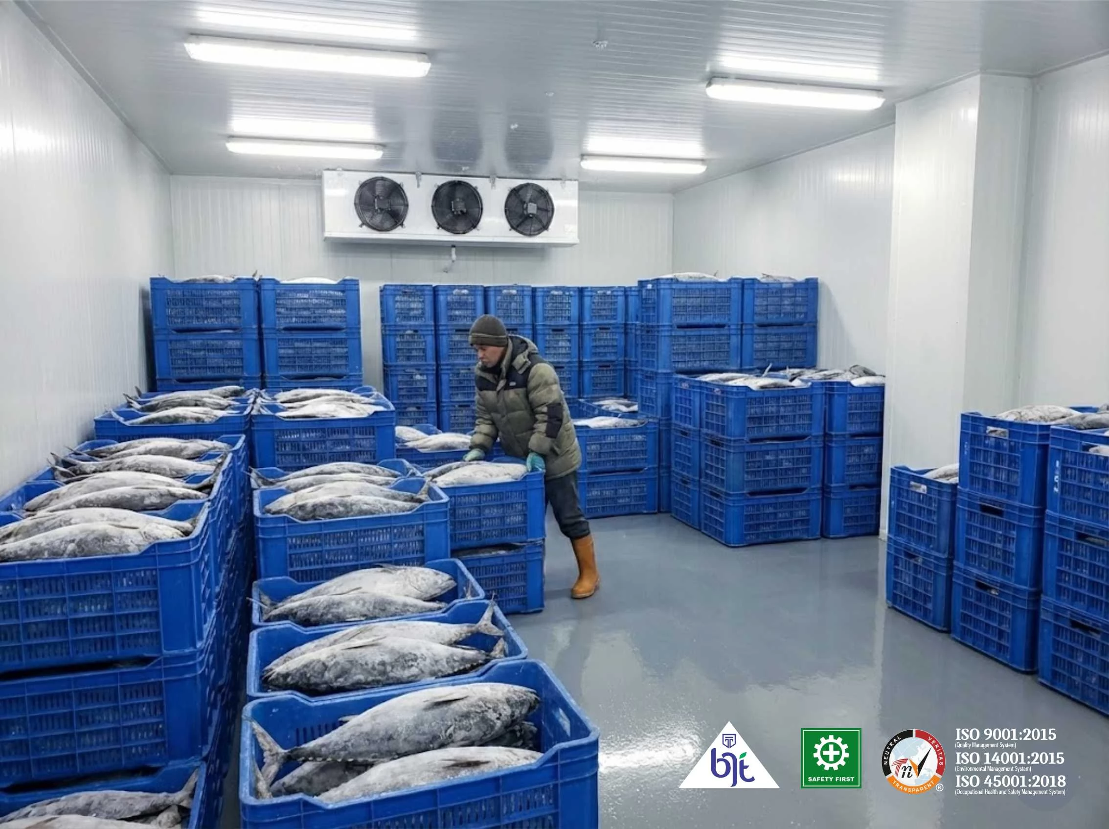 Cold Storage Freezer Ikan